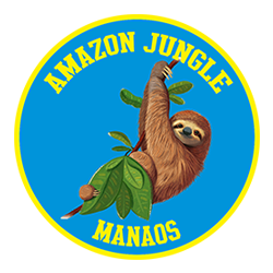 Amazon Jungle Manaos